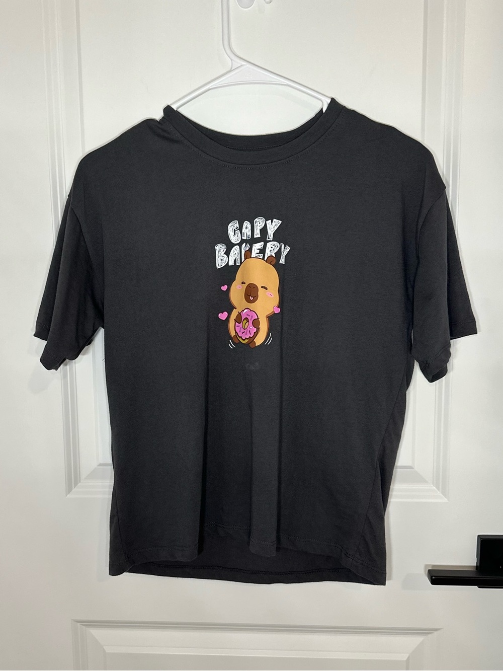 Zara Dark Gray CapyFun Graphic Tee Shirt-Girls